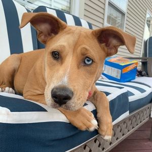 Meet your Posher, Kelsey